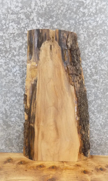 Salvaged Live Edge Maple End/Accent/Coffee Table Top Slab 8576